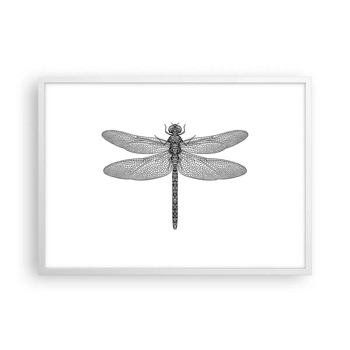 Plagát v bielom ráme - Presnosť prírody - 70x50 cm