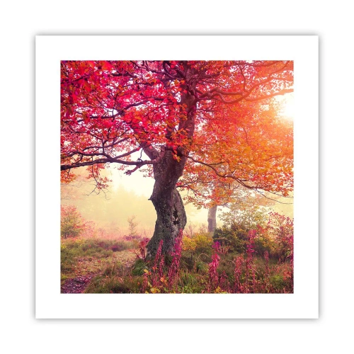 Plagát - Šialenstvo rozkvetu - 40x40 cm