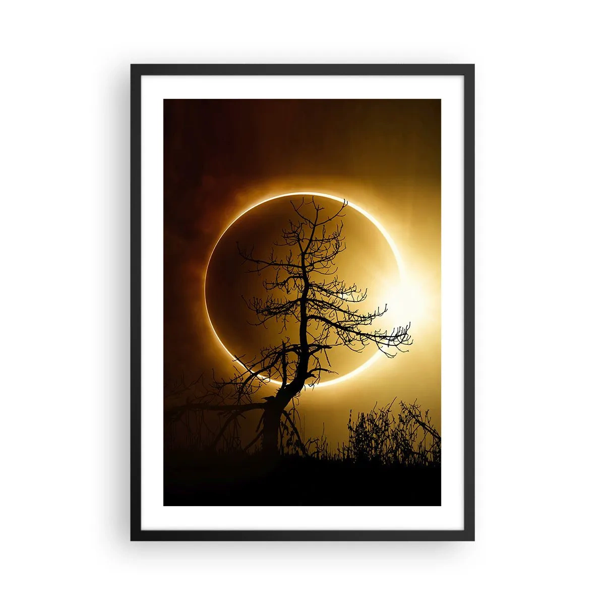 Plagát v čiernom ráme - Fenomenálny západ slnka so stromom v popredí - 50x70cm - Úplné zatmenie - Moderná nástenná dekorácia do obývacej izby a spálne ARTTOR