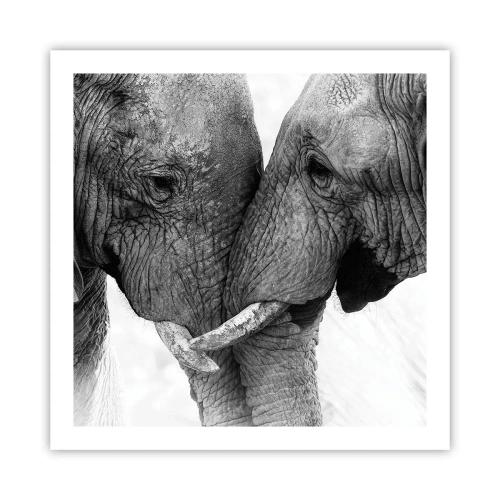 Plagát - Úprimné vyznanie - 60x60 cm