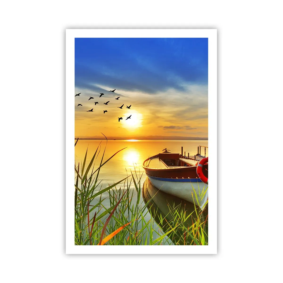 Plagát - Kormorány už odlietajú - 61x91 cm