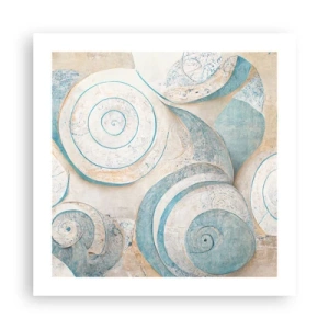 Plagát - Čo skrýva mušľa? - 50x50 cm