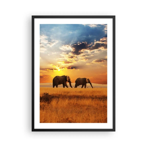 Plagát v čiernom ráme - Slony kráčajú v žiari zapadajúceho slnka - 50x70cm - Rodinná prechádzka - Moderná nástenná dekorácia do obývacej izby a spálne ARTTOR