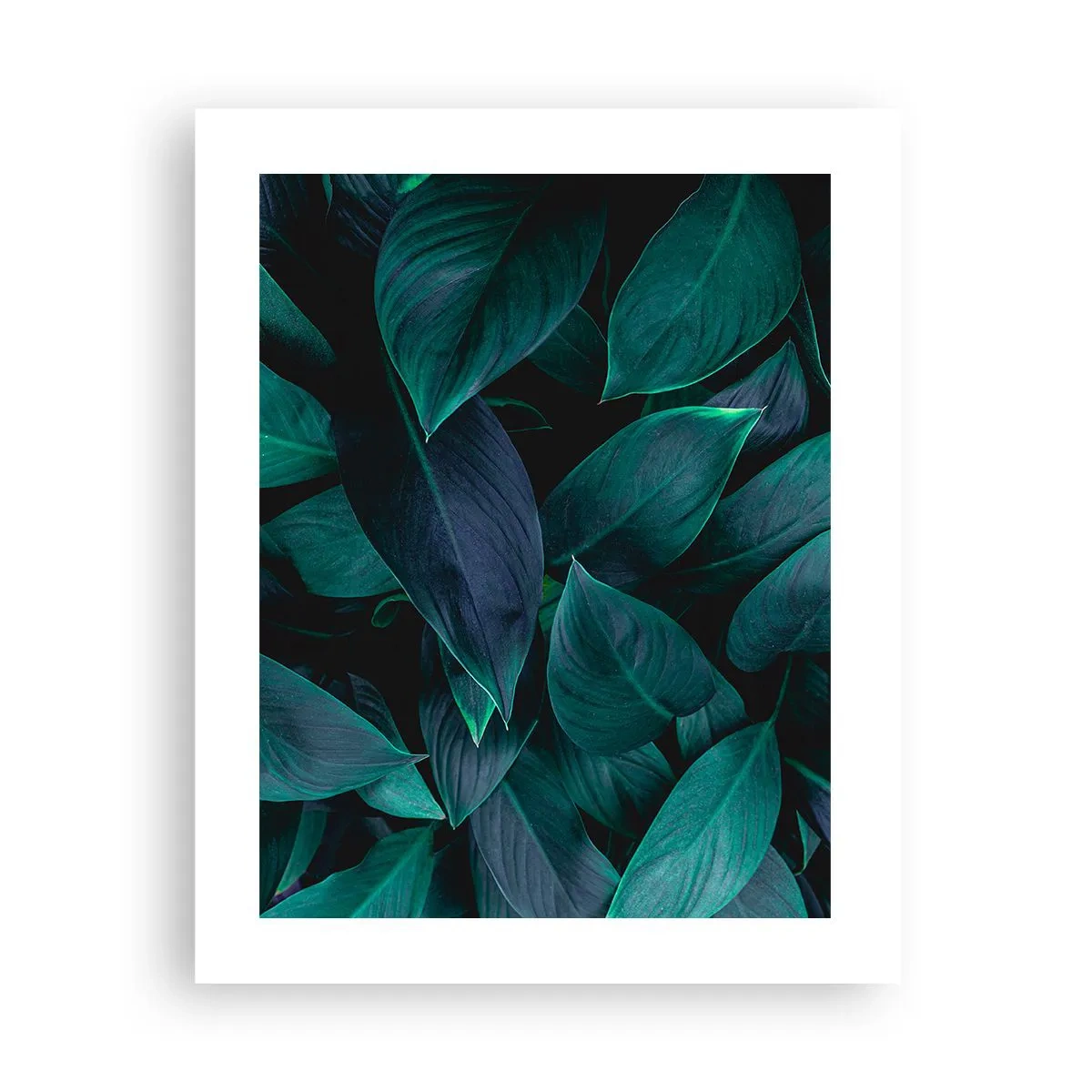 Plagát - Zeleň sama o sebe - 40x50 cm