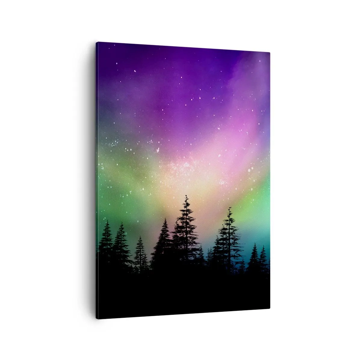 Obraz na plátne - Biela mágia - 50x70 cm