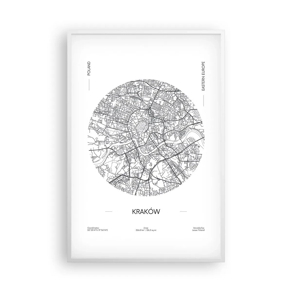 Plagát v bielom ráme - Anatómia Krakova - 61x91 cm