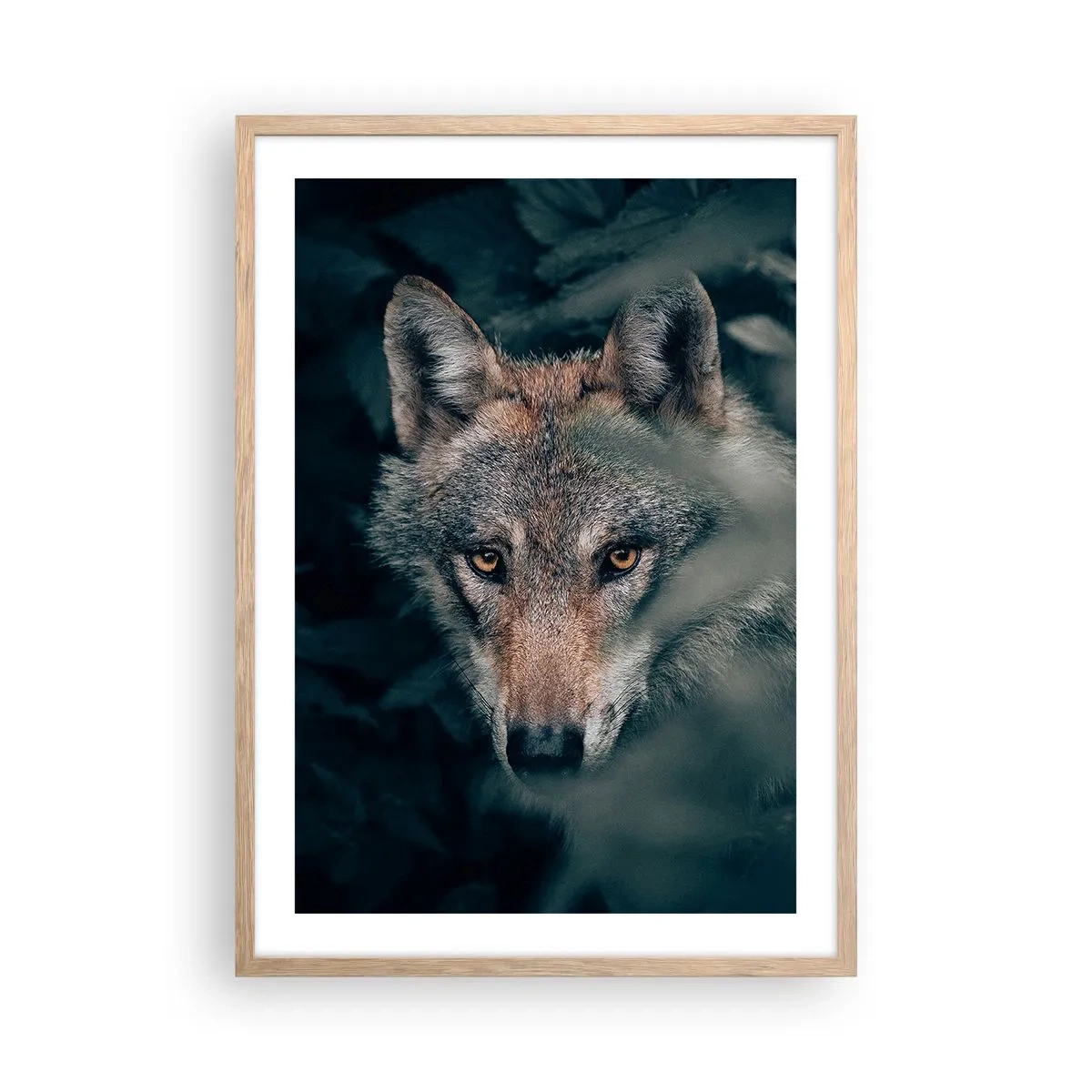 Plagát v ráme zo svetlého duba - Predátor - 50x70 cm