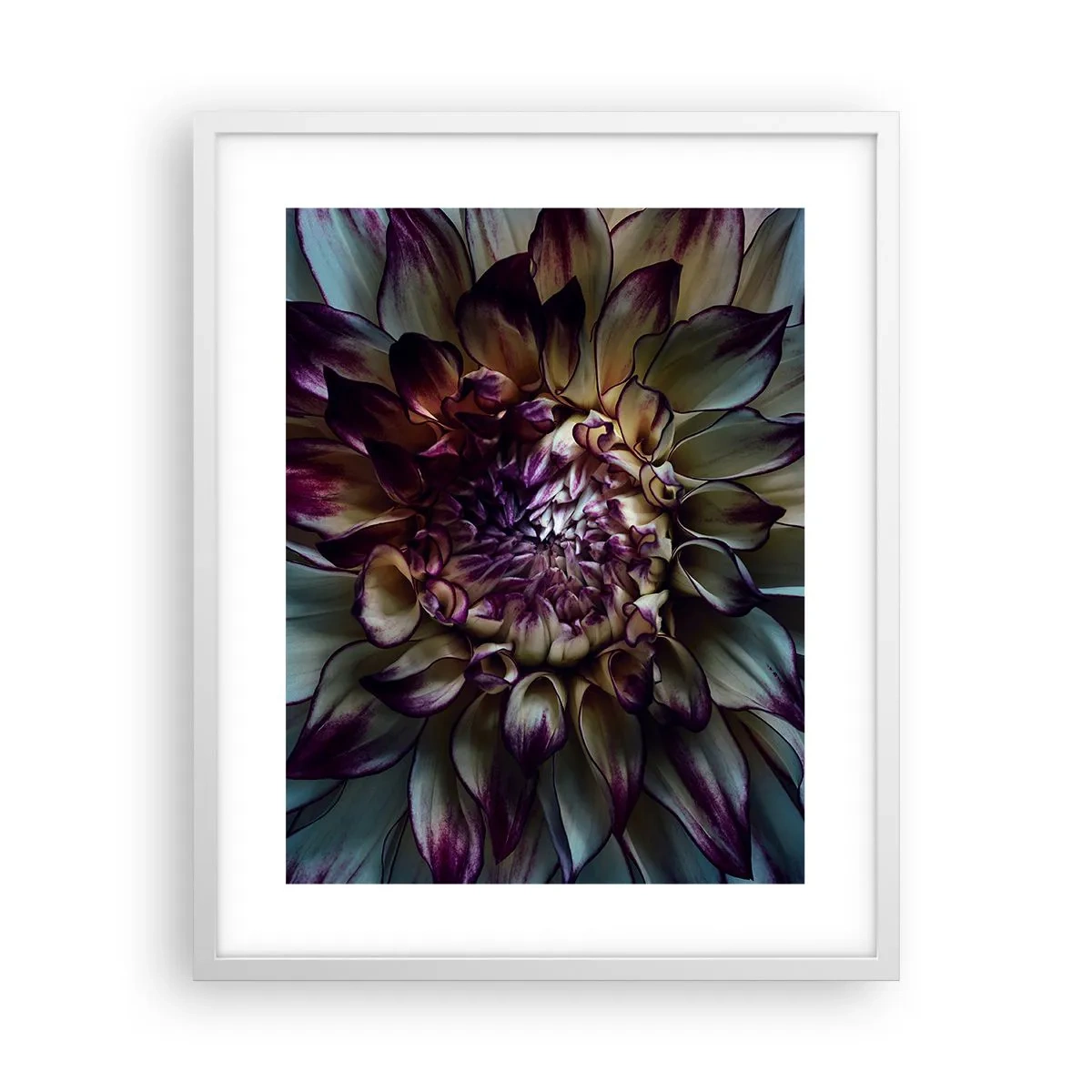 Plagát v bielom ráme - Rozkvet mladosti - 40x50 cm