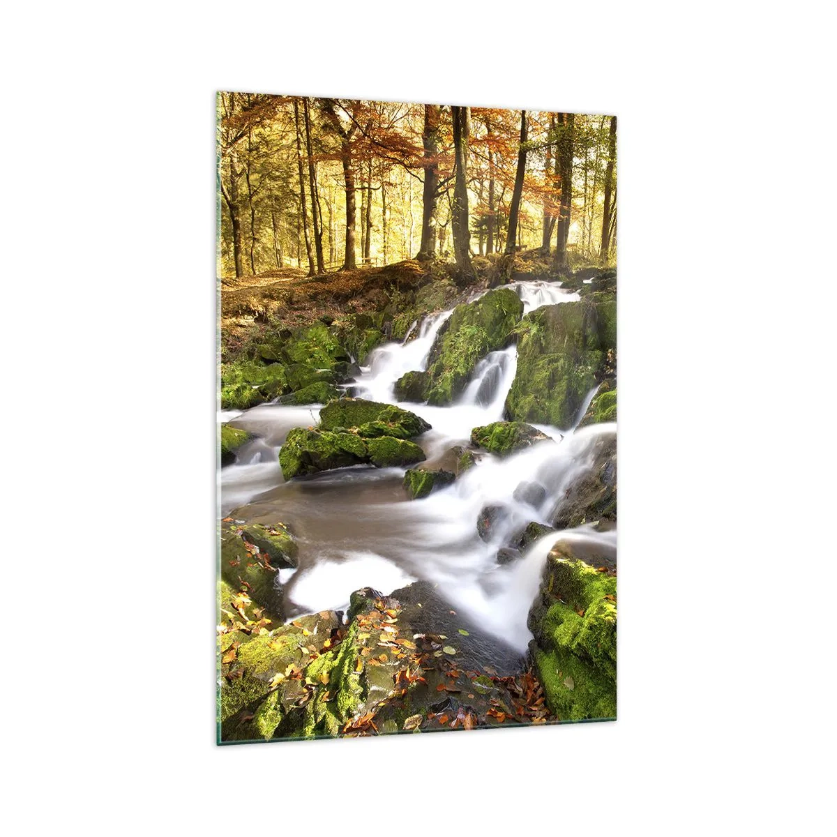 Obraz na skle - Chvatom jesenným lesom - 70x100 cm