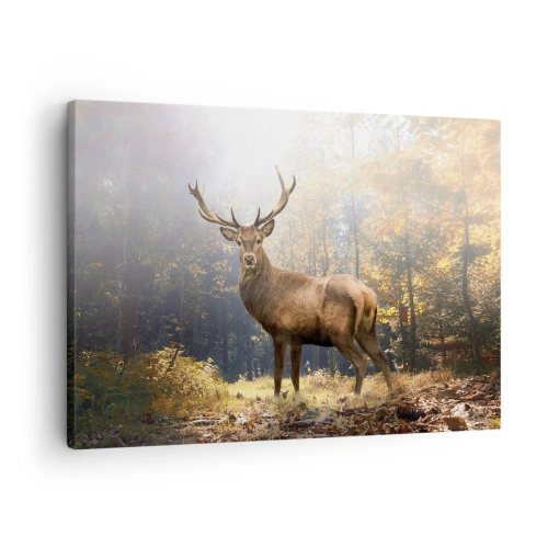 Obraz na plátne - Jeleň v jesennom lese so slnečnými lúčmi - 70x50cm - Plné dôstojnosti - Moderná nástenná dekorácia do obývacej izby a spálne ARTTOR