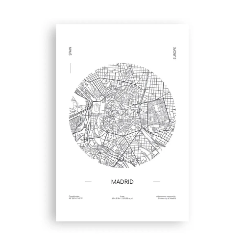 Plagát - Anatómia Madridu - 61x91 cm
