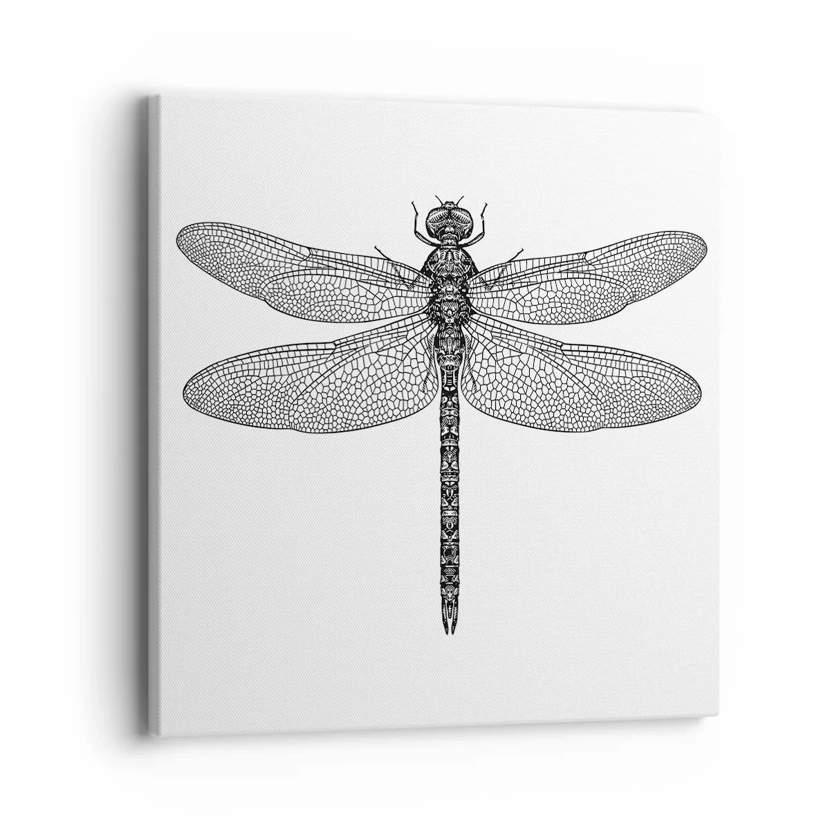 Obraz na plátne - Presnosť prírody - 40x40 cm