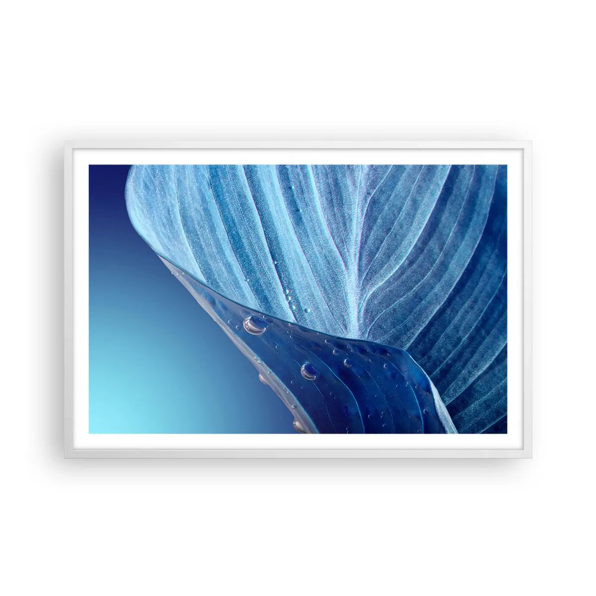 Plagát v bielom ráme - Skryté kvapky modrej - 91x61 cm