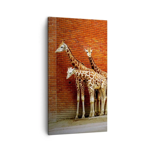 Obraz na plátne - Vidíte nejaký agát? - 45x80 cm