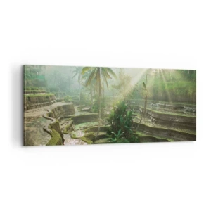 Obraz na plátne - Vyrastať na slnku - 100x40 cm