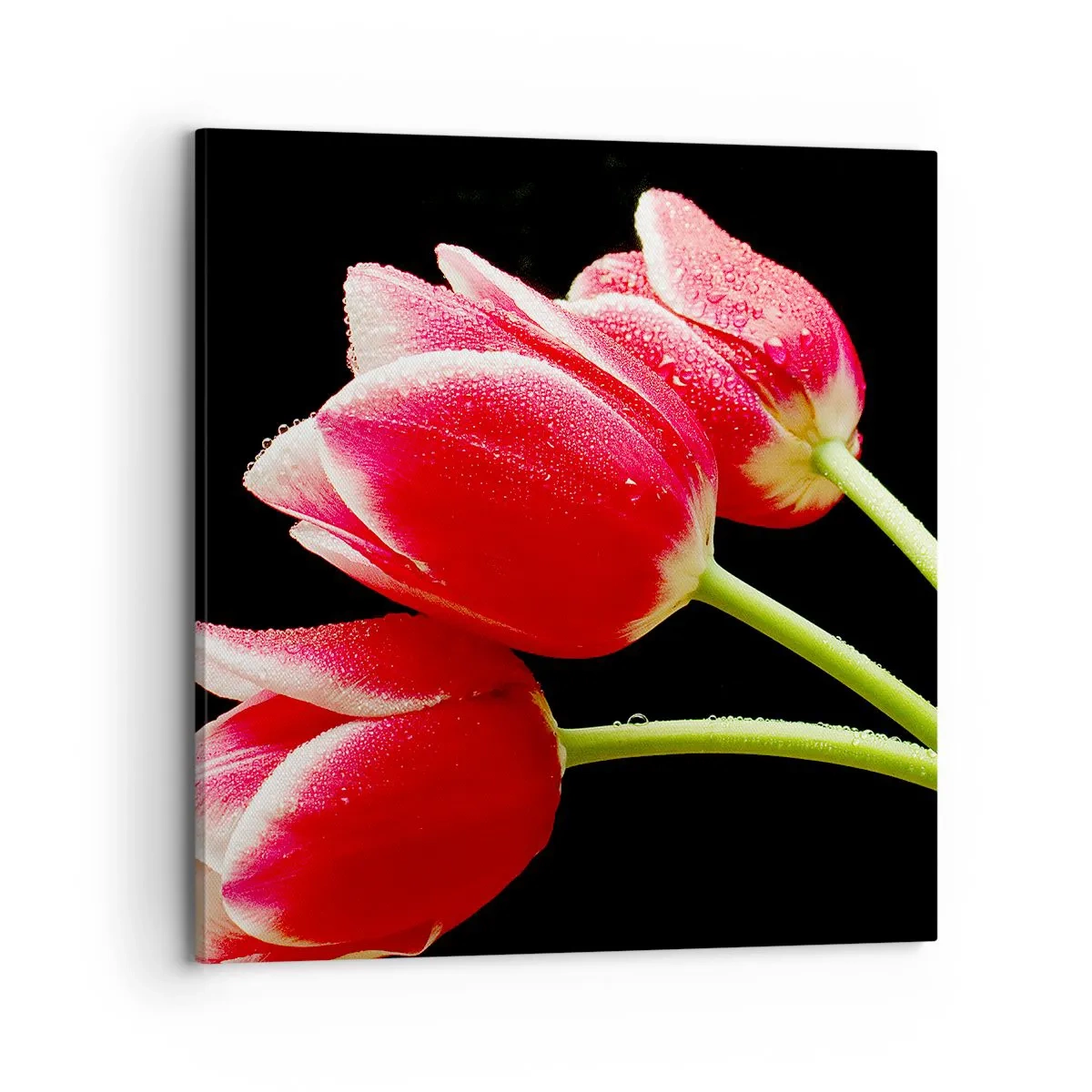 Obraz na plátne - Sľub čistej lásky - 70x70 cm