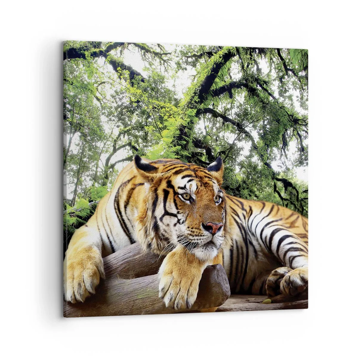 Obraz na plátne - S úctou - 50x50 cm