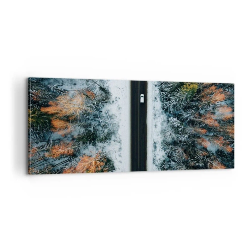Obraz na plátne - Cez zimný les - 100x40 cm
