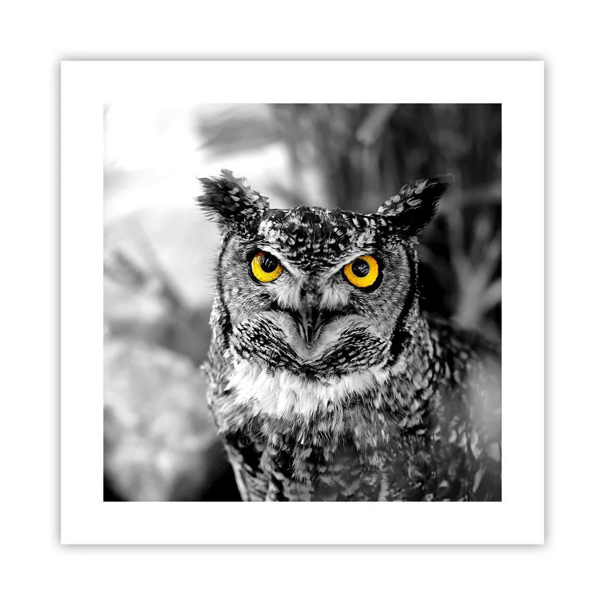 Plagát - Nič sa neschová - 40x40 cm