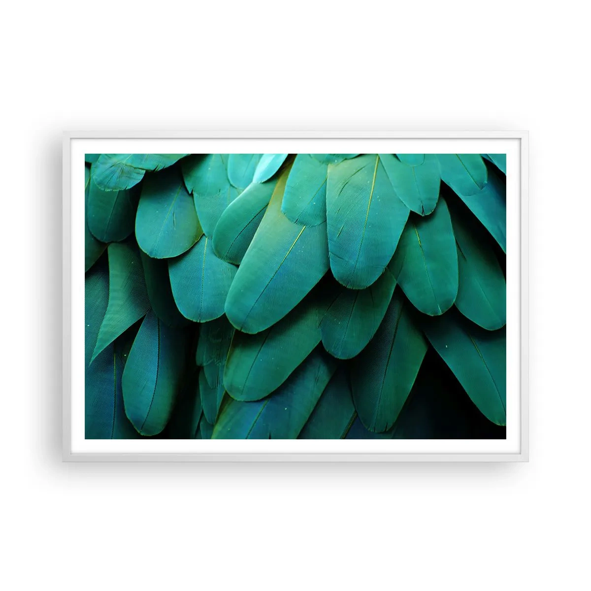 Plagát v bielom ráme - Presnosť papagájovej povahy - 100x70 cm