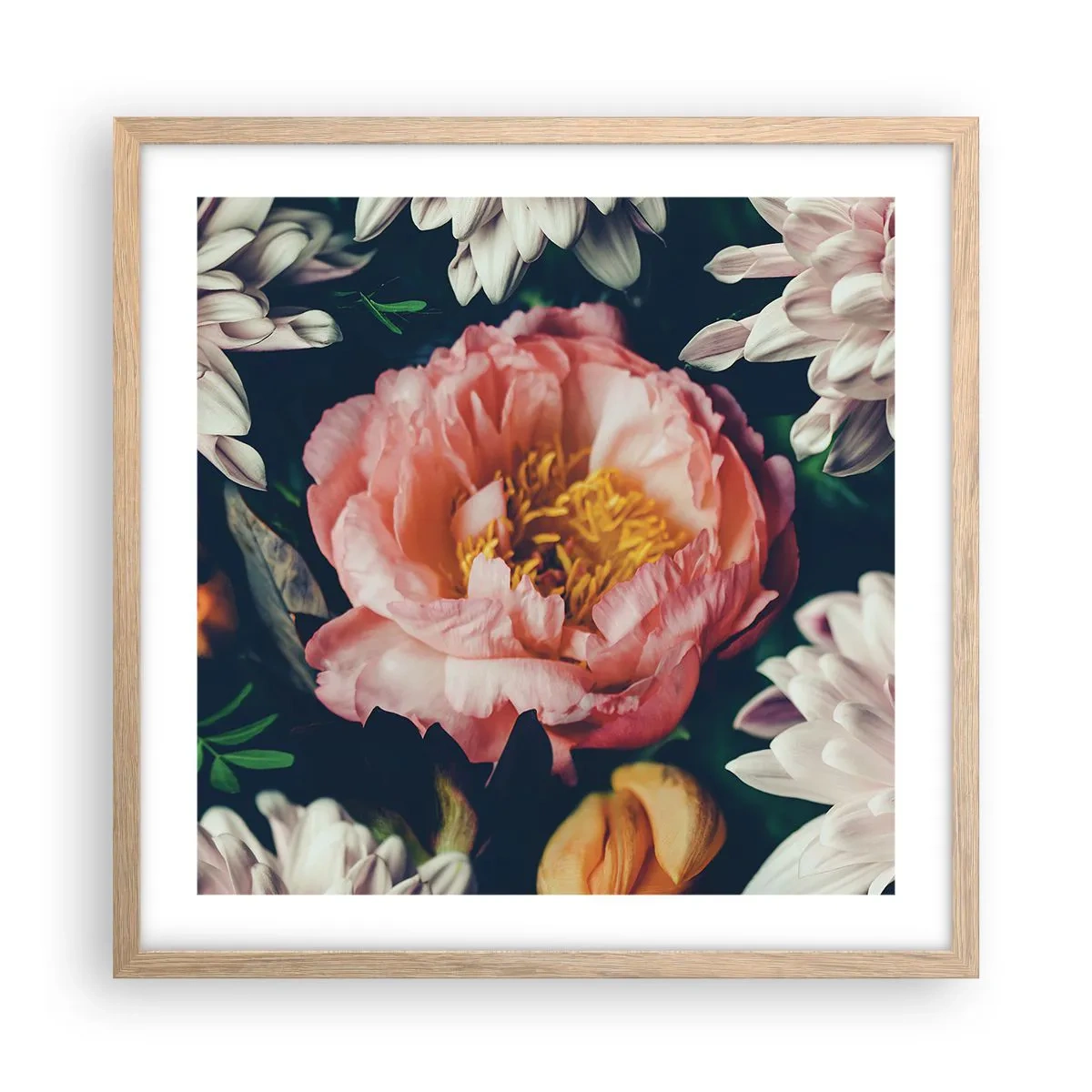Plagát v ráme zo svetlého duba - S barokovým prepychom - 50x50 cm