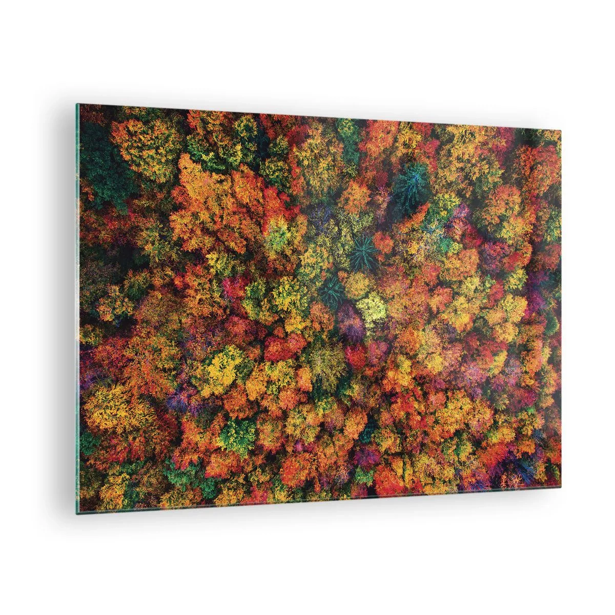 Obraz na skle - Pohľad z vtáčej perspektívy na les v plnej jeseni, plný farebných stromov - 70x50cm - Kytica jesenných stromov - Moderná nástenná dekorácia do obývacej izby a spálne ARTTOR