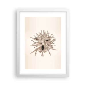 Plagát v bielom ráme - Rozkvet v tanci - 30x40 cm