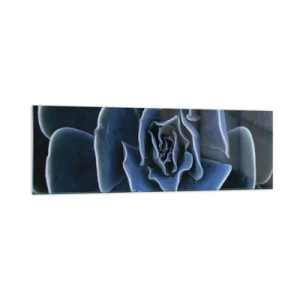 Obraz na skle - Púštny kvet - 160x50 cm