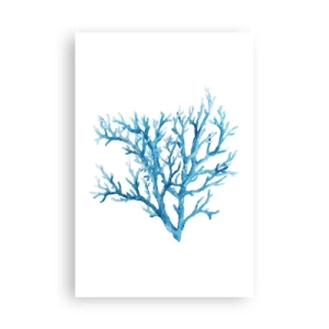 Plagát - Morský filigrán - 61x91 cm