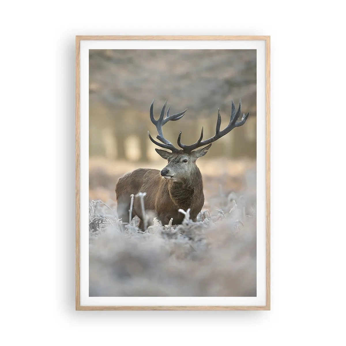 Plagát v ráme zo svetlého duba - Svieže ráno - 70x100 cm