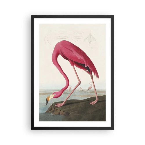 Plagát v čiernom ráme - Ružový plameniak na pozadí prírodnej krajiny - 50x70cm - Úžasná tvora - Moderná nástenná dekorácia do obývacej izby a spálne ARTTOR