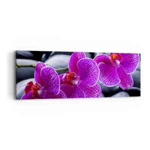 Obraz na plátne - Kamene sa rozžiarili nadšením - 90x30 cm