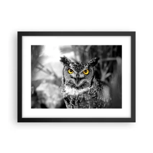 Plagát v čiernom ráme - Nič sa neschová - 40x30 cm