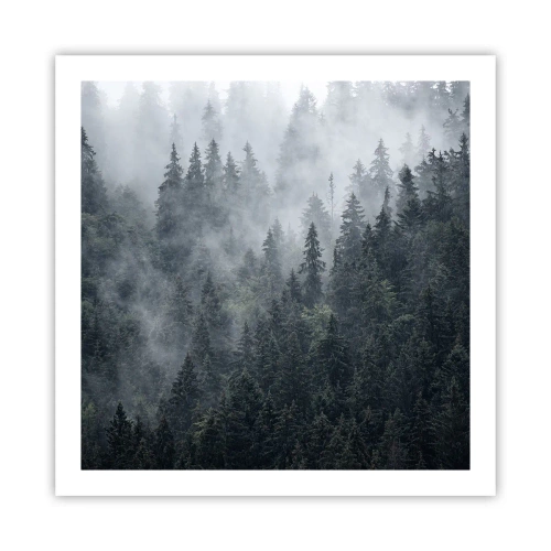 Plagát - Lesné svitania - 60x60 cm