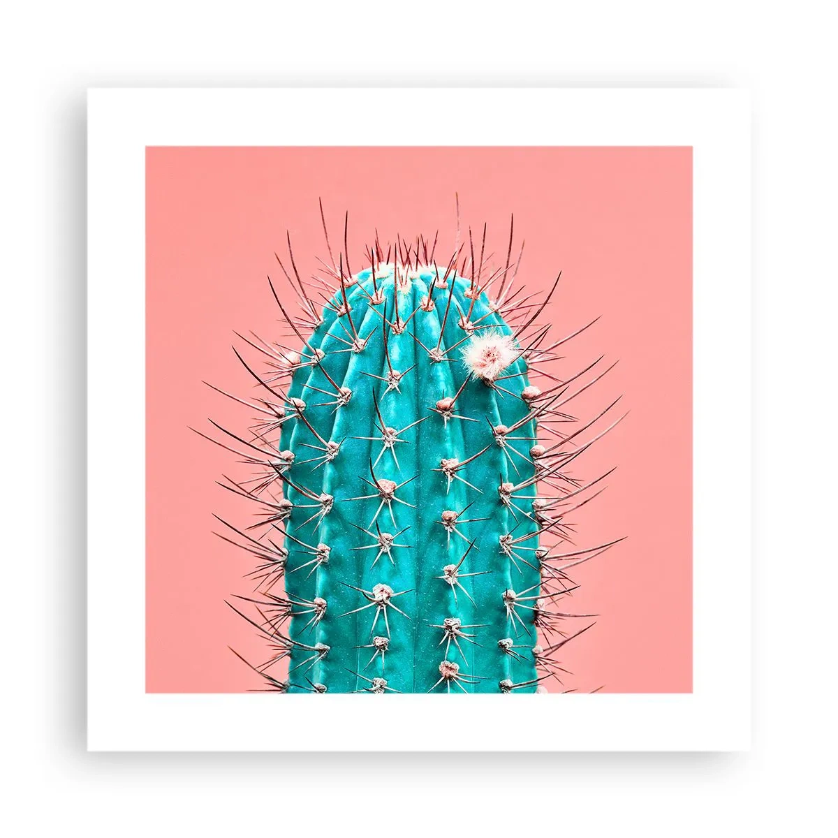 Plagát - Len pozeraj - 40x40 cm