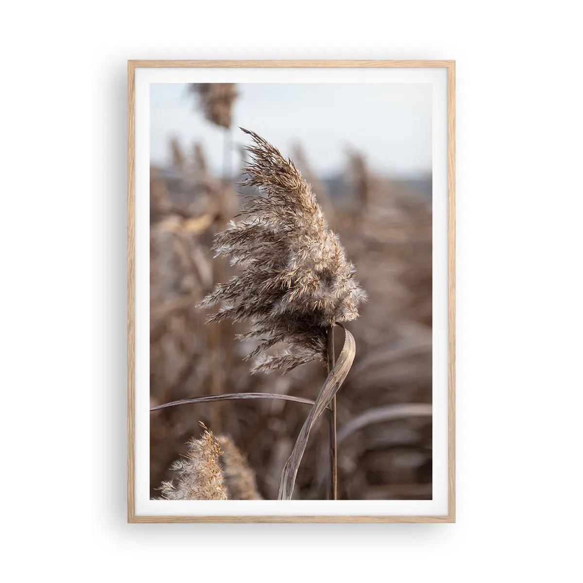 Plagát v ráme zo svetlého duba - Čas odletieť s vetrom - 70x100 cm