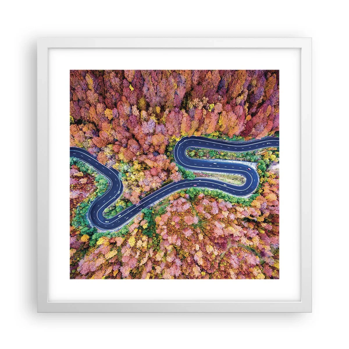 Plagát v bielom ráme - Kľukatá cesta lesom - 40x40 cm