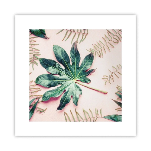 Plagát - Štúdia zelenej na ružovom pozadí - 30x30 cm