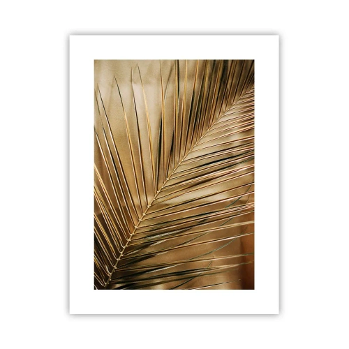 Plagát - Prírodná kolonáda - 30x40 cm