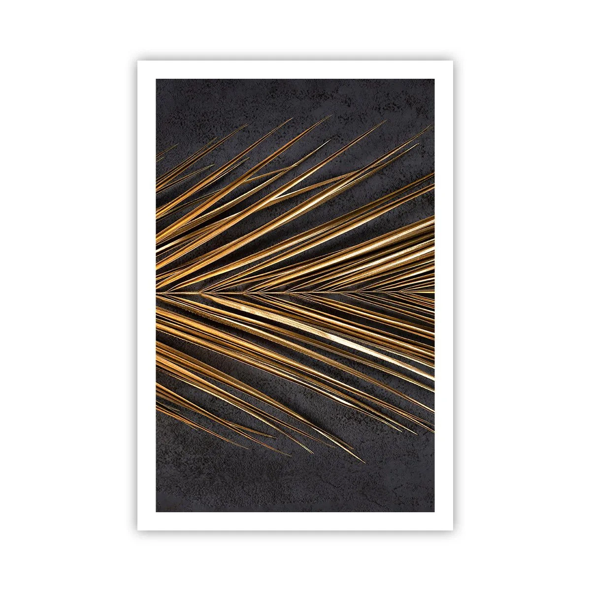 Plagát - Zlato trópov - 61x91 cm
