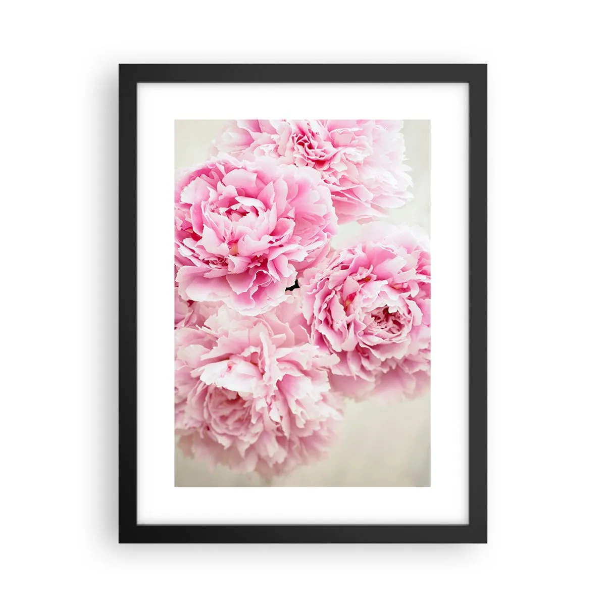 Plagát v čiernom ráme - V ružovom prepychu - 30x40 cm