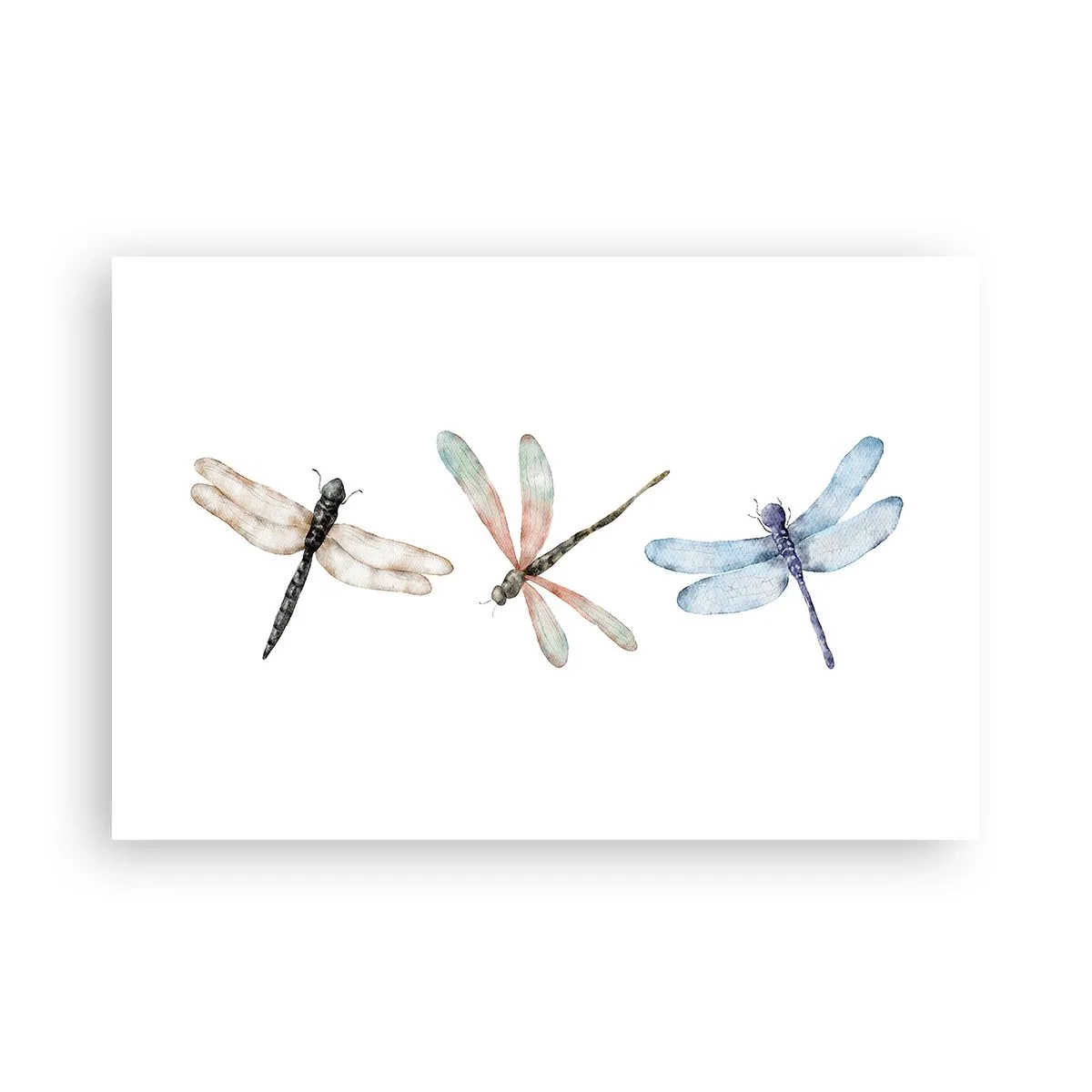 Plagát - Beztiažové vážky - 91x61 cm