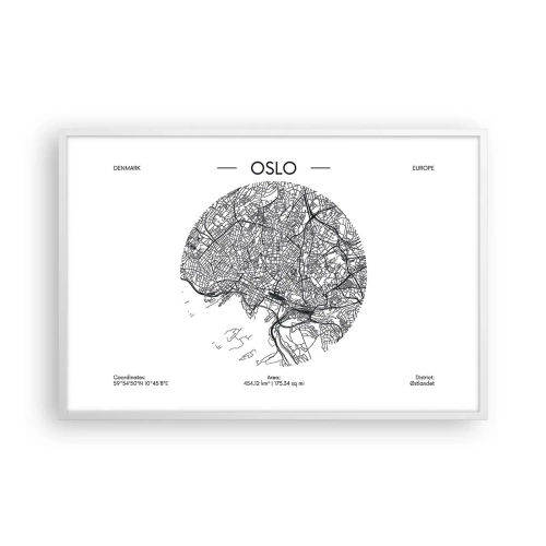 Plagát v bielom ráme - Anatómia Osla - 91x61 cm