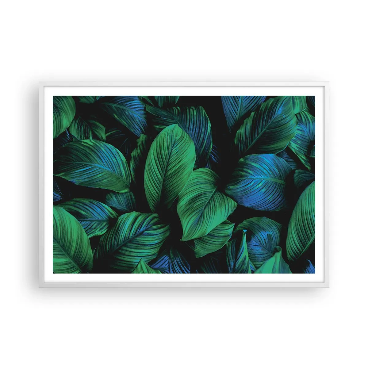 Plagát v bielom ráme - V zelenom dave - 100x70 cm