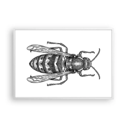 Plagát v bielom ráme - Z hmyzej planéty - 100x70 cm