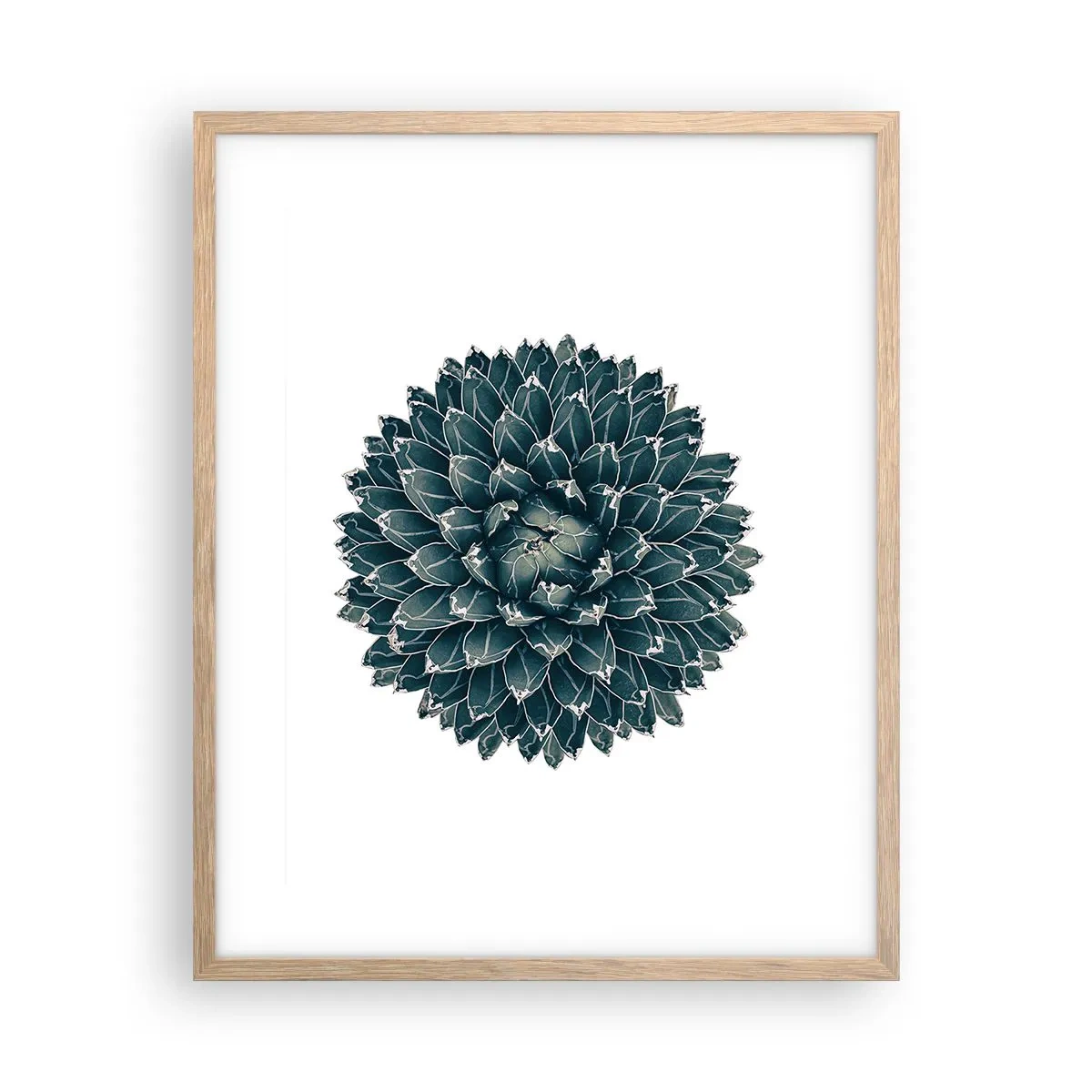 Plagát v ráme zo svetlého duba - Hviezda púšte - 40x50 cm