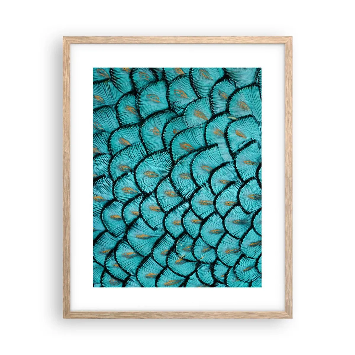 Plagát v ráme zo svetlého duba - Veľká slávnosť peria - 40x50 cm