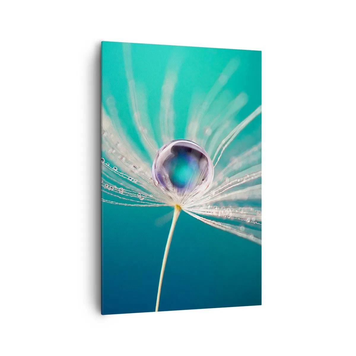 Obraz na plátne - Mystický okamih - 80x120 cm