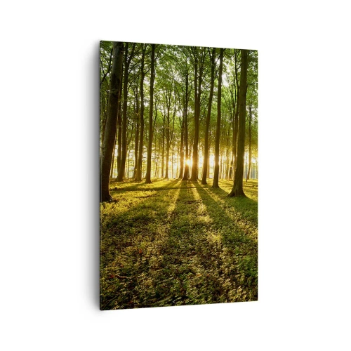 Obraz na plátne - Fotografie všetkých jarí - 80x120 cm