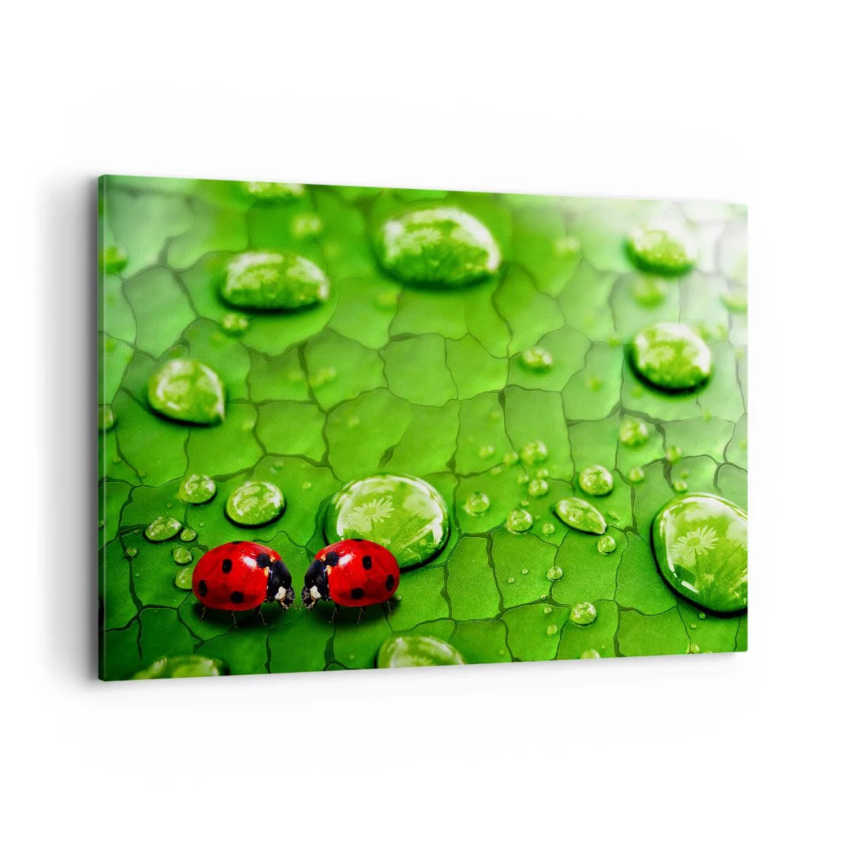 Obraz na plátne - Stretnutie v zeleni - 120x80 cm